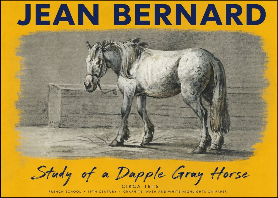 Jean Bernard Study of a Dapple Gray Horse No5 - Juliste