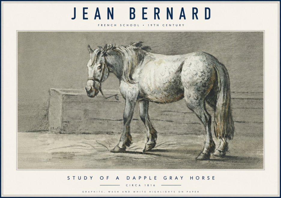 Jean Bernard Study of a Dapple Gray Horse No6 - Juliste