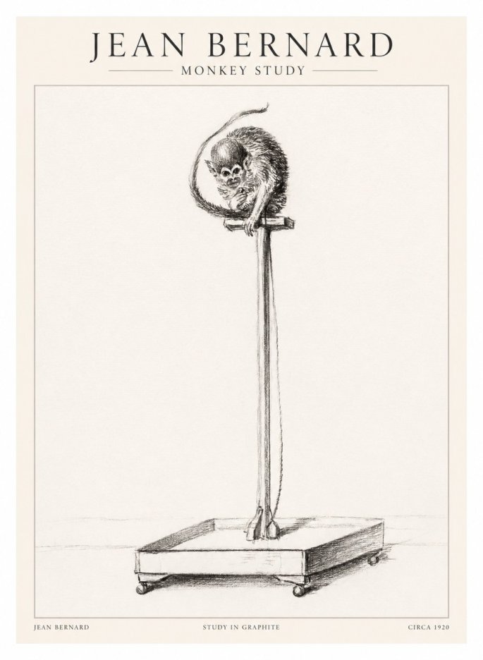 Jean Bernard Monkey Study No1 - Juliste