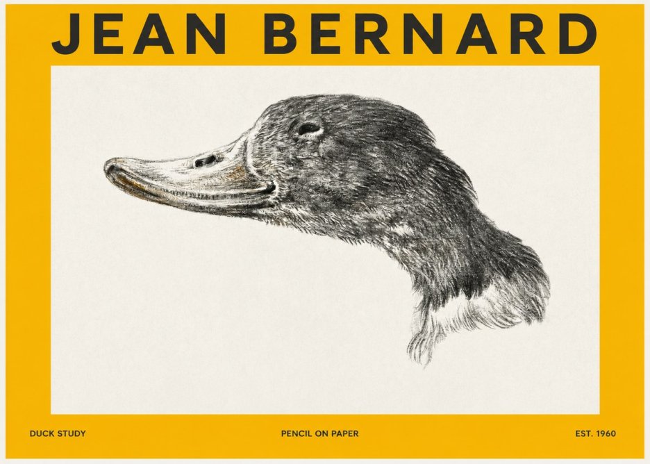Jean Bernard Study of a Duck No3 - Juliste