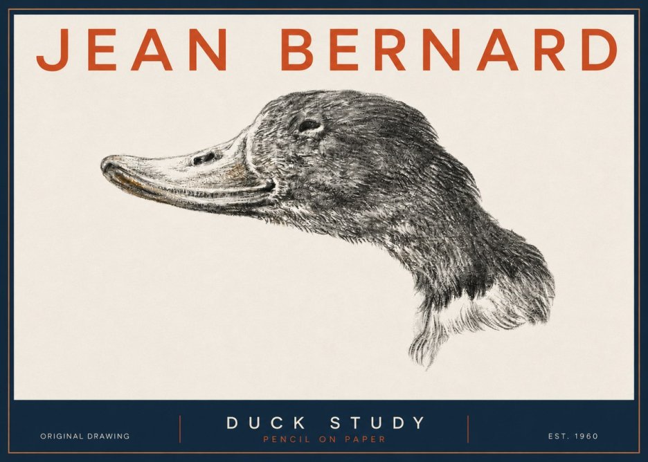Jean Bernard Study of a Duck No5 - Juliste