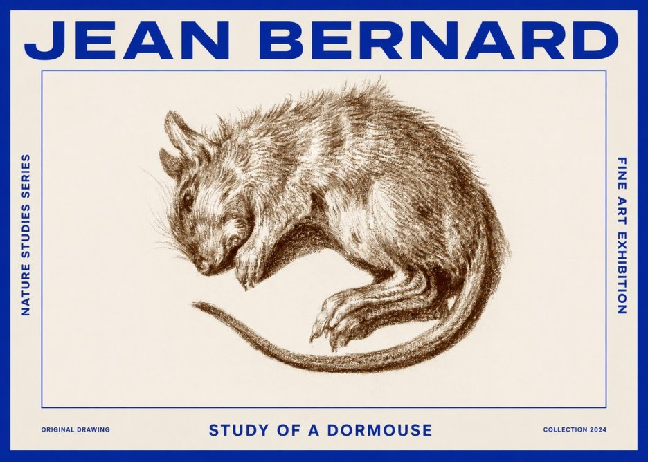 Jean Bernard Study of a Dormouse No2 - Juliste