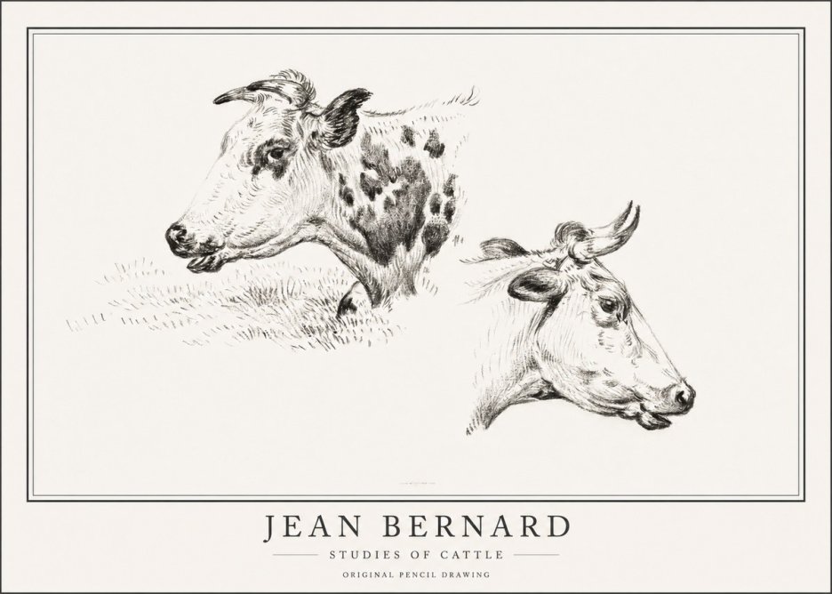 Jean Bernard Studies of Cattle I No1 - Juliste