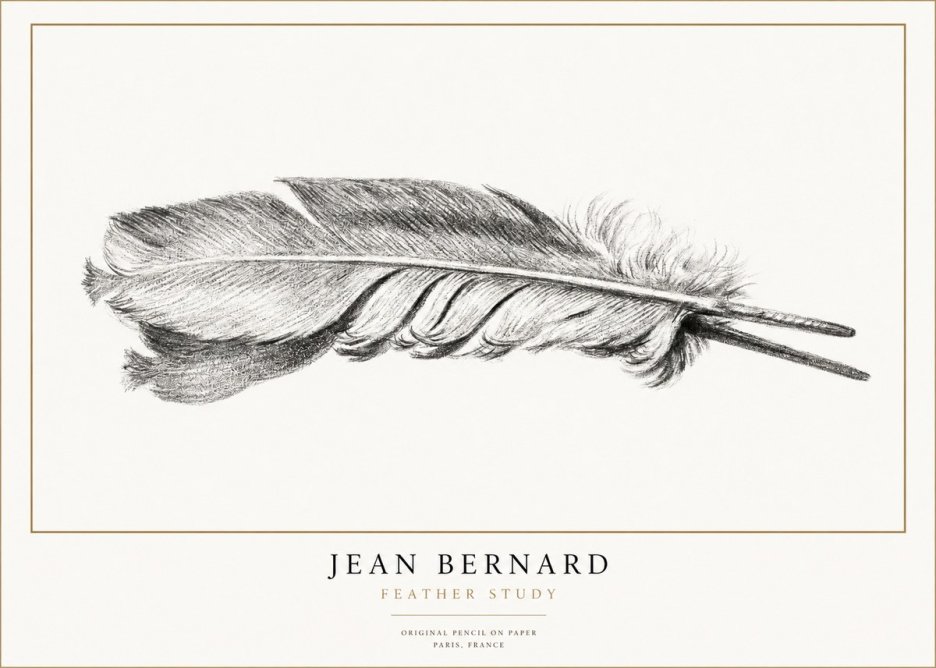 Jean Bernard Feather No3 - Juliste