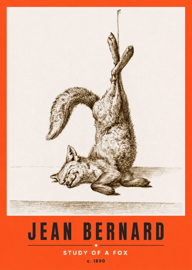 Jean Bernard Study of a Fox No2 - Juliste