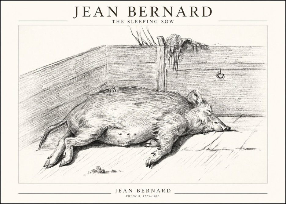 Jean Bernard The Sleeping Sow No1 - Juliste