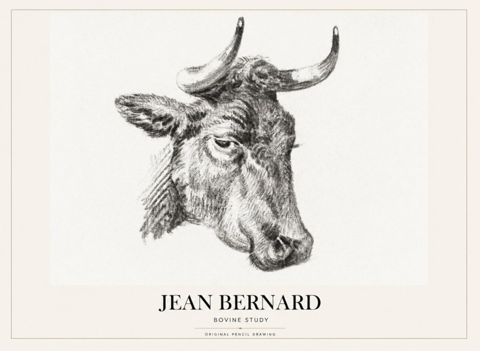 Jean Bernard Bovine Study I No1 - Juliste