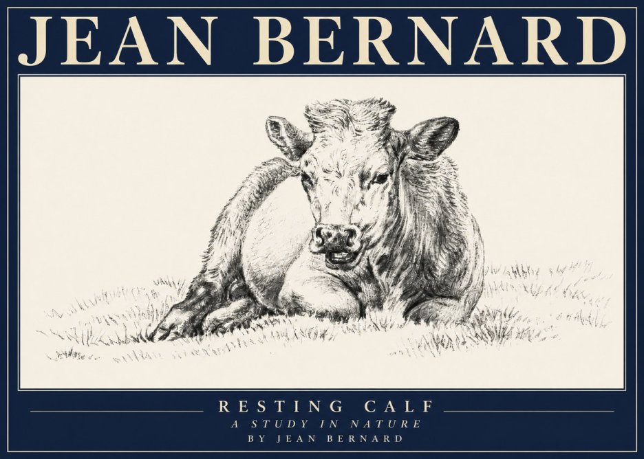 Jean Bernard Resting Calf I No4 - Juliste
