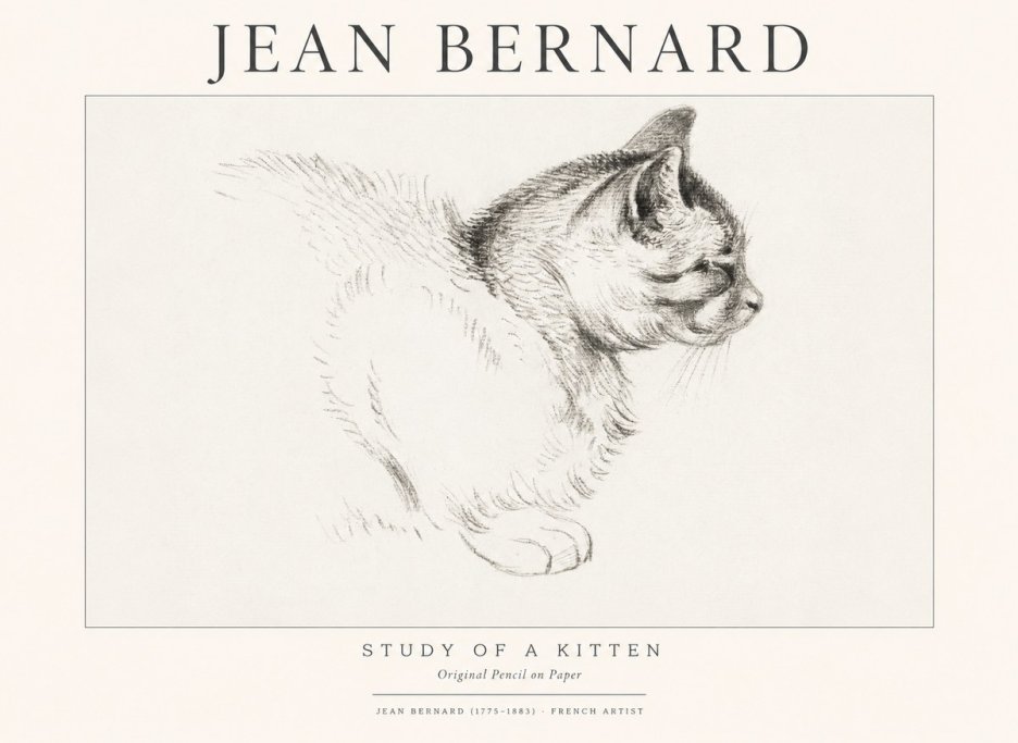Jean Bernard Study of a Kitten II No1 - Juliste