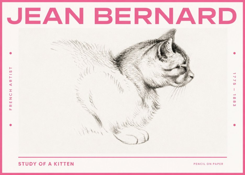 Jean Bernard Study of a Kitten II No3 - Juliste