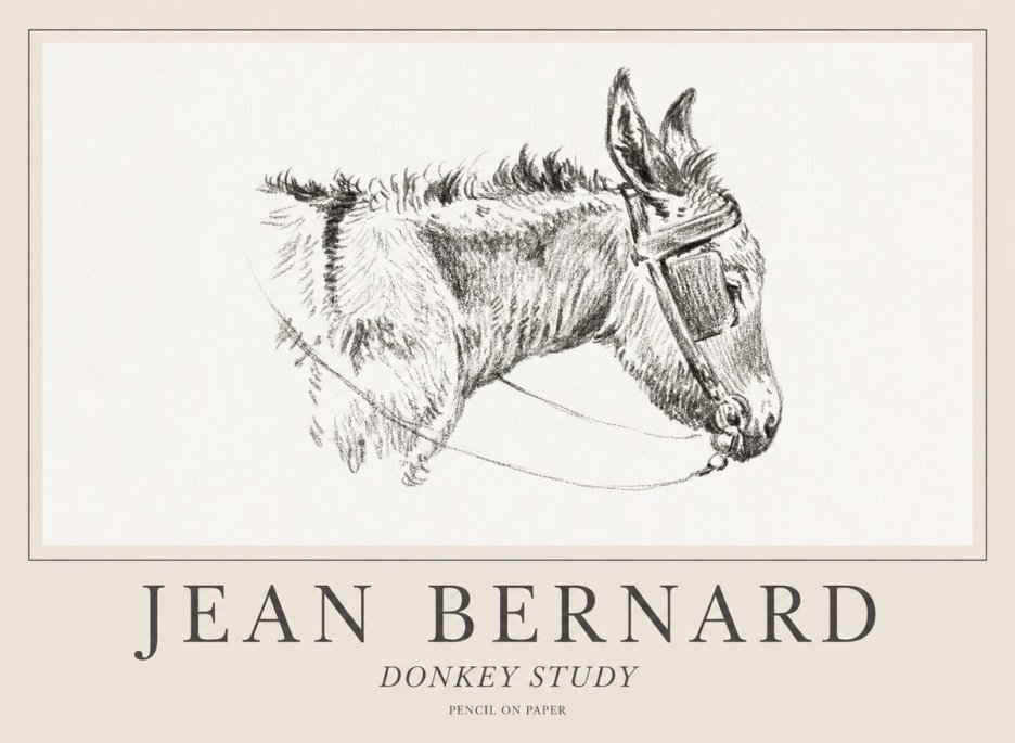 Jean Bernard Donkey Study II No1 - Juliste