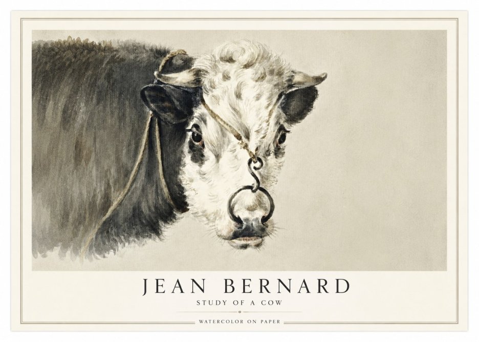 Jean Bernard Study of a Cow I No1 - Juliste