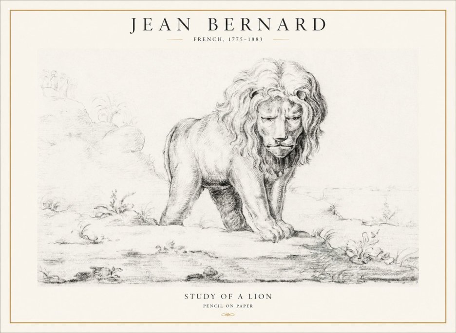 Jean Bernard Study of a Lion I No4 - Juliste