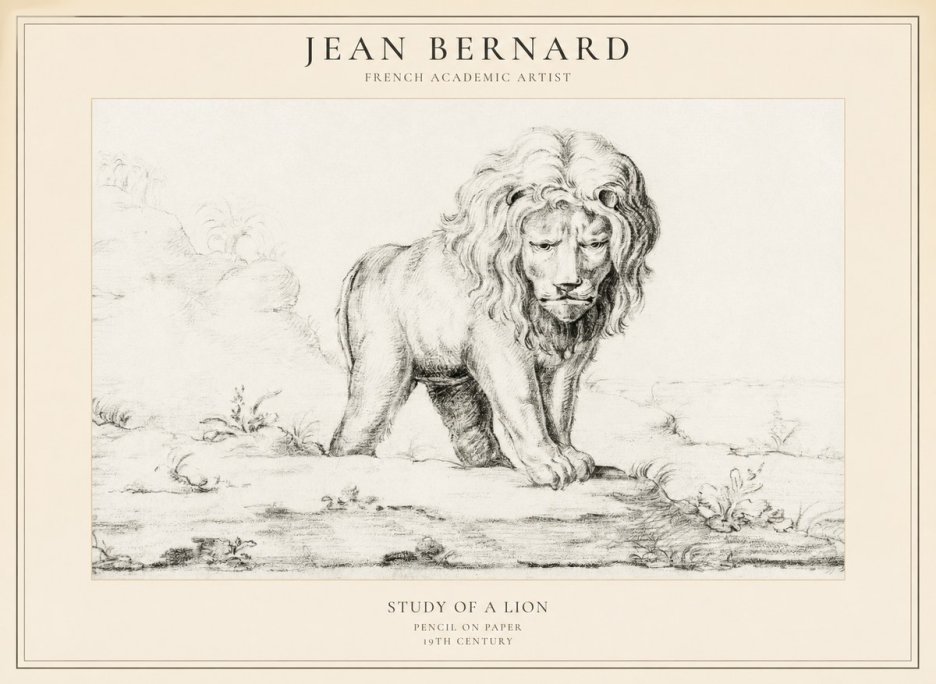 Jean Bernard Study of a Lion I No5 - Juliste