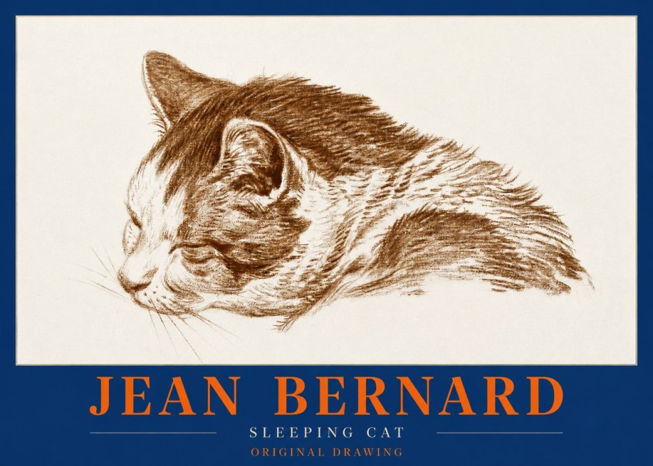 Jean Bernard Sleeping Cat II No2 - Juliste
