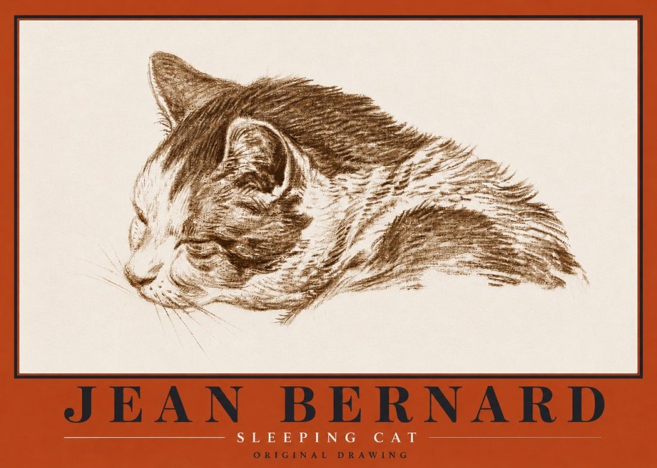 Jean Bernard Sleeping Cat II No5 - Juliste