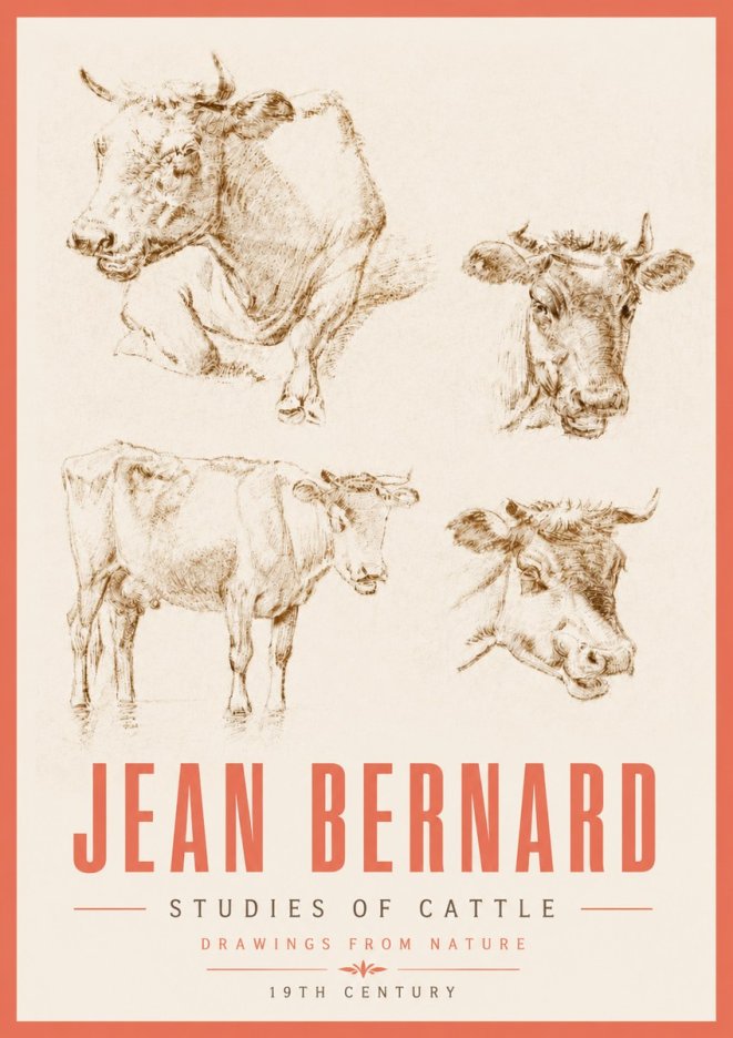 Jean Bernard Studies of Cattle II No5 - Juliste