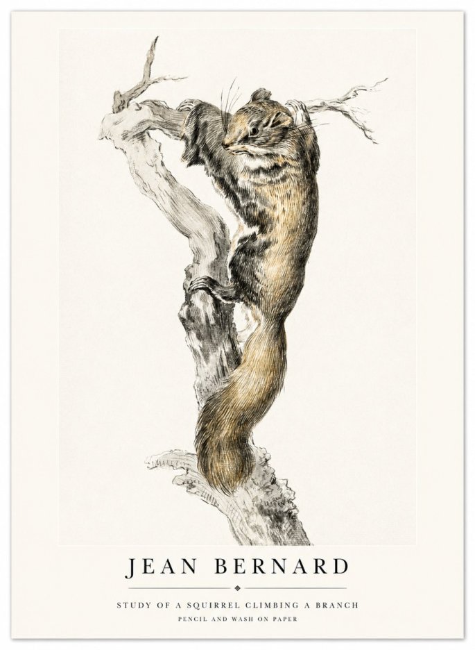 Jean Bernard Study of a Squirrel Climbing a Branch No1 - Juliste