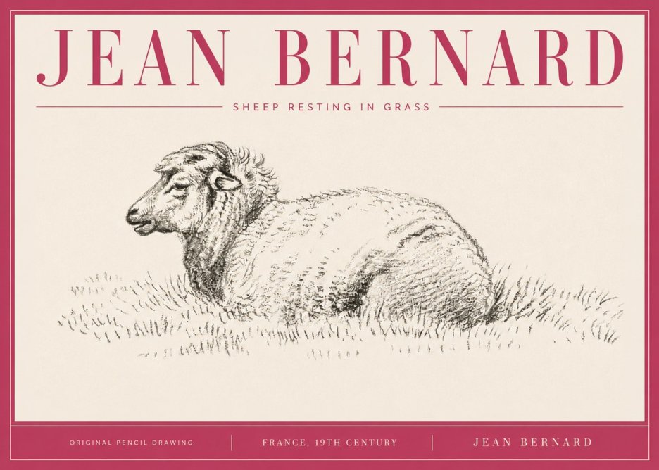 Jean Bernard Sheep Resting in Grass No4 - Juliste