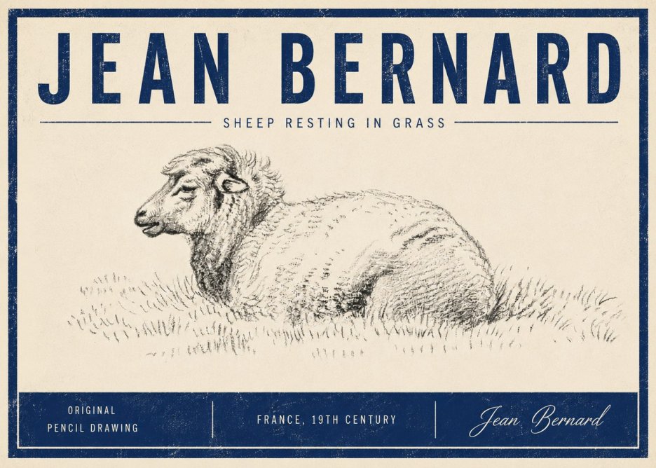 Jean Bernard Sheep Resting in Grass No5 - Juliste