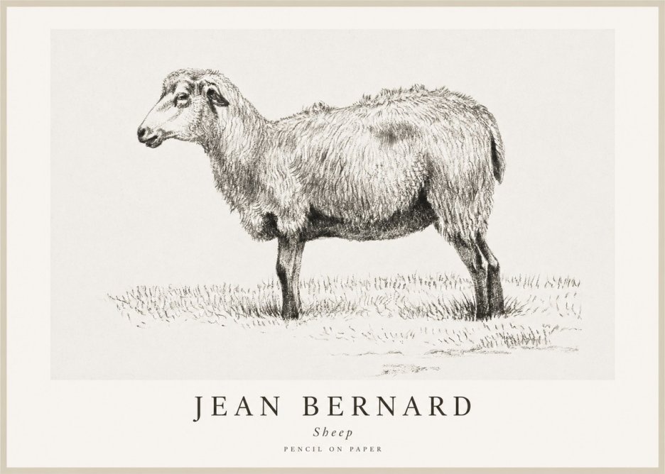 Jean Bernard Sheep No1 - Juliste