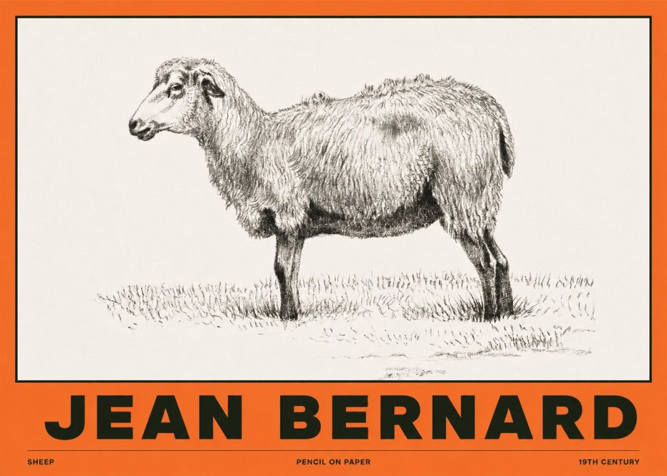 Jean Bernard Sheep No2 - Juliste