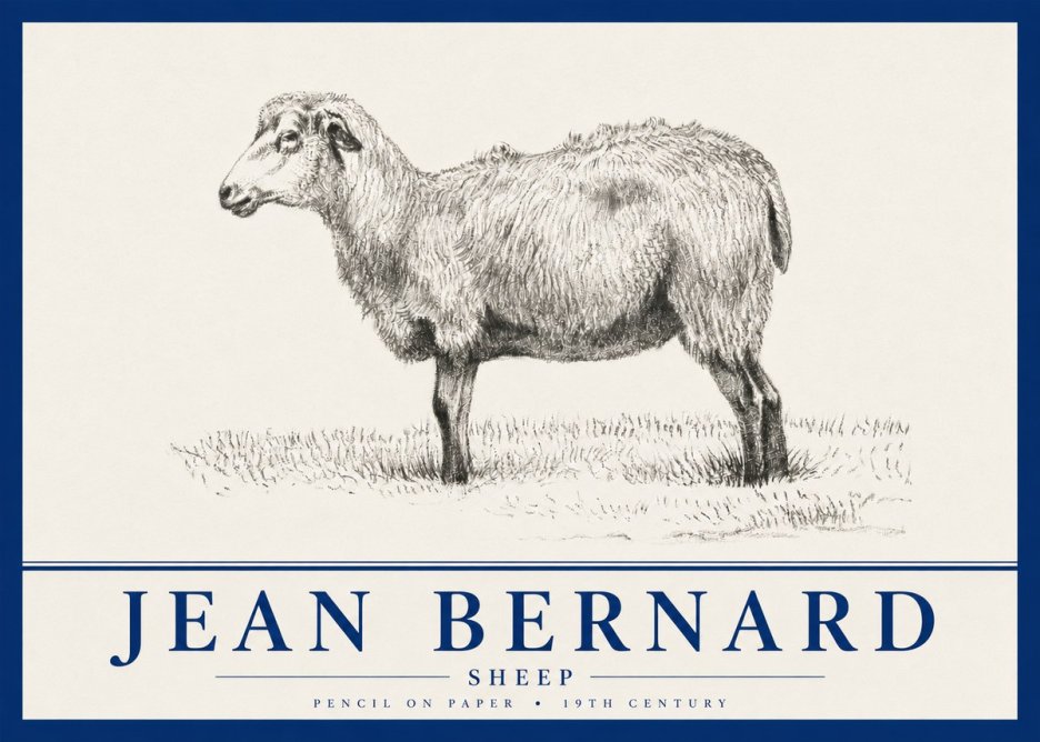 Jean Bernard Sheep No4 - Juliste