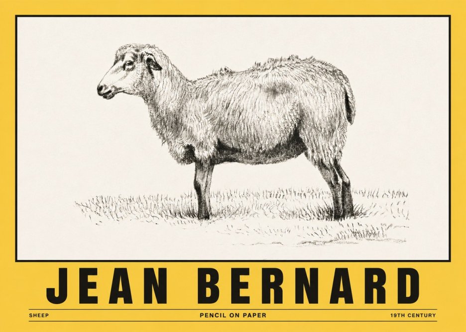 Jean Bernard Sheep No5 - Juliste