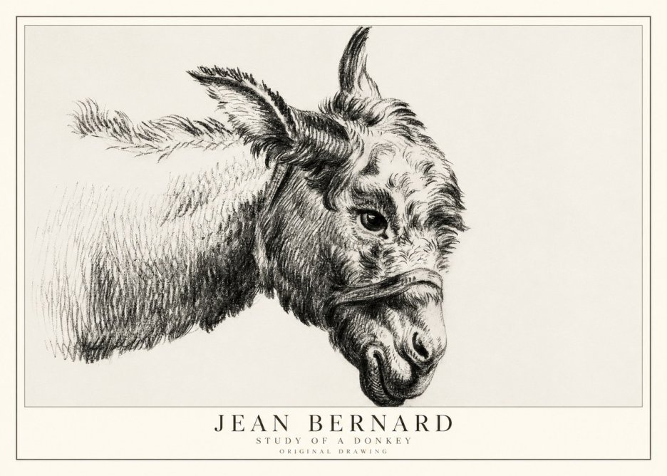 Jean Bernard Study of a Donkey I No1 - Juliste