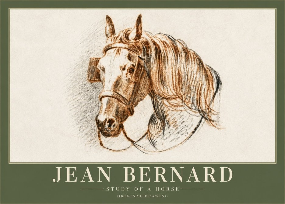 Jean Bernard Study of a Horse V No3 - Juliste