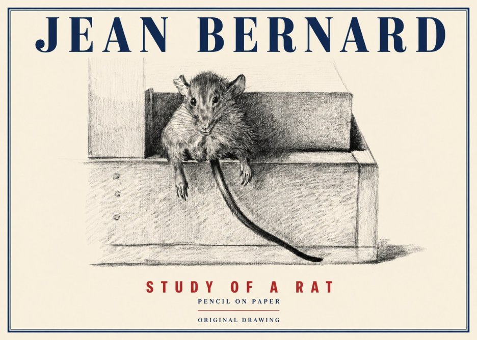Jean Bernard Study of a Rat I No4 - Juliste