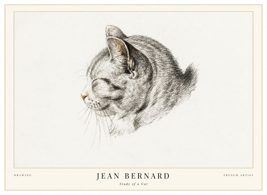 Jean Bernard Study of a Cat I No1 - Juliste