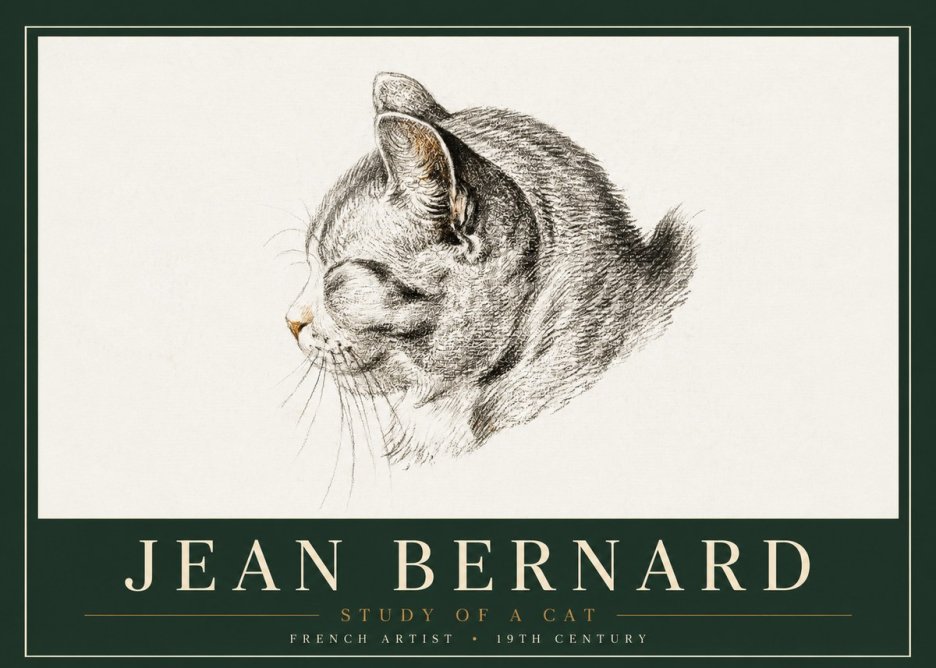 Jean Bernard Study of a Cat I No4 - Juliste
