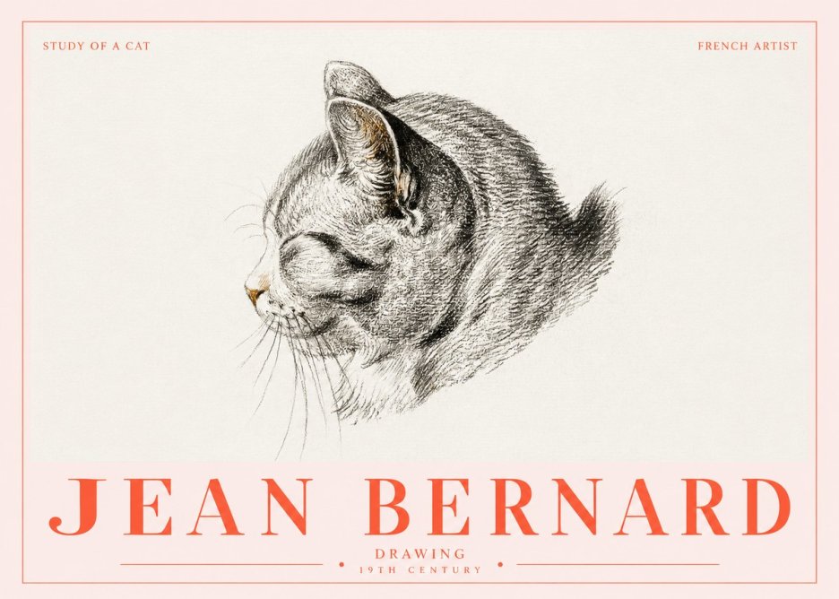 Jean Bernard Study of a Cat I No5 - Juliste