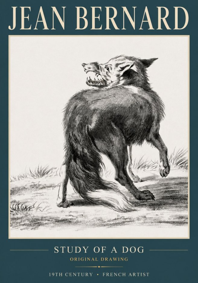 Jean Bernard Study of a Dog II No3 - Juliste