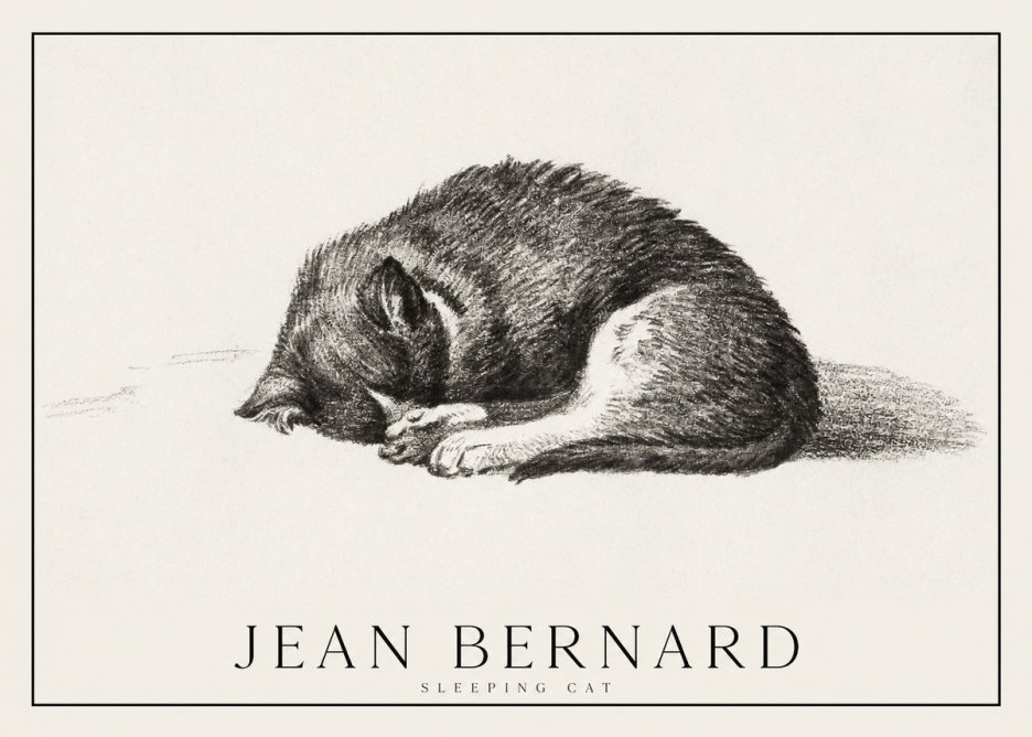Jean Bernard Sleeping Cat III No1 - Juliste