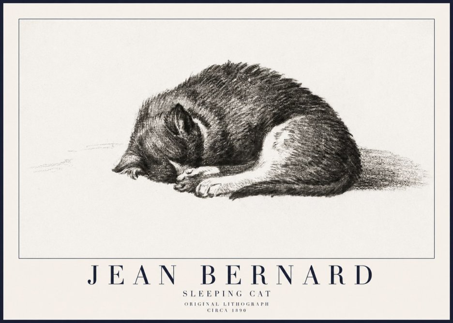 Jean Bernard Sleeping Cat III No6 - Juliste