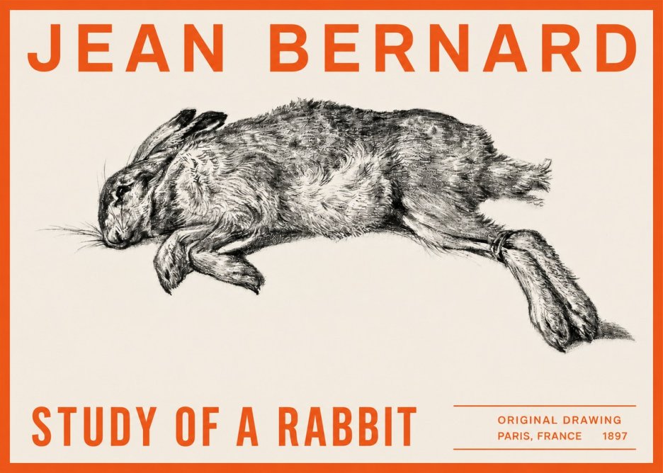 Jean Bernard Study of a Rabbit No2 - Juliste