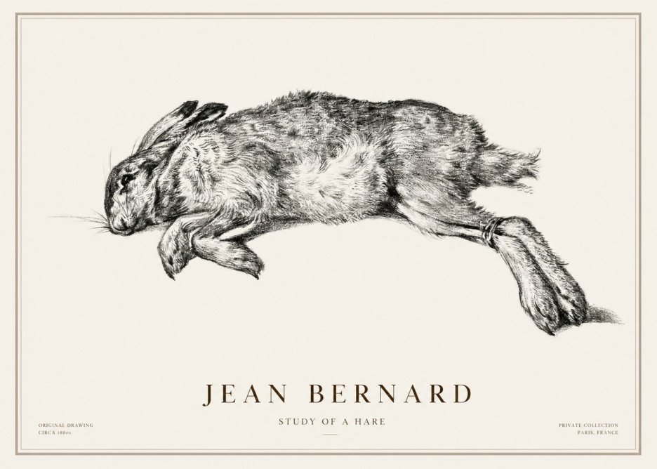 Jean Bernard Study of a Rabbit No3 - Juliste