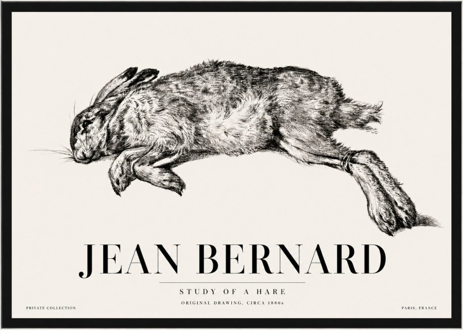 Jean Bernard Study of a Rabbit No5 - Juliste