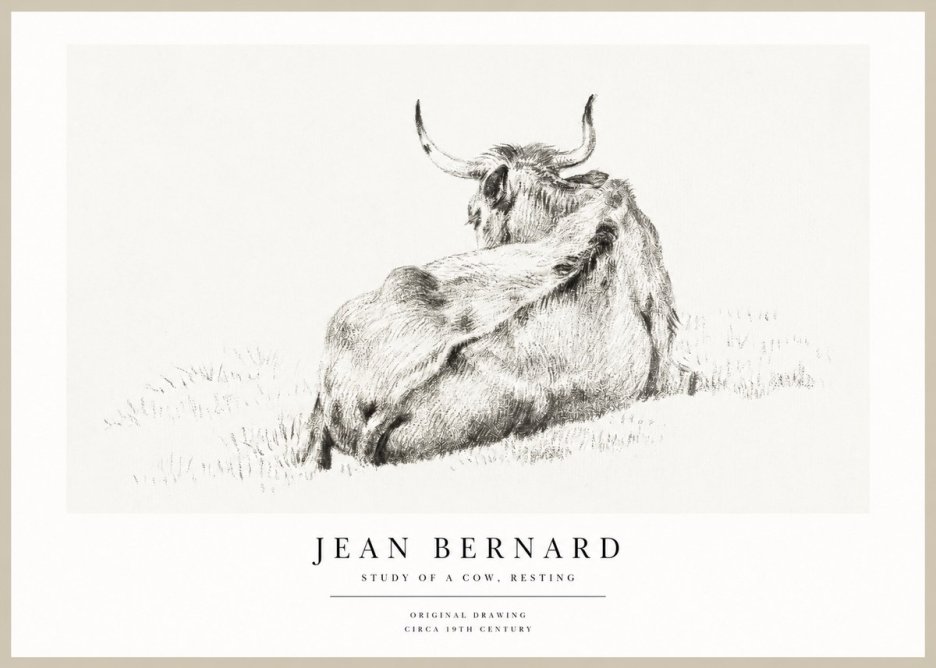 Jean Bernard Resting Bovine - Study in Graphite No2 - Juliste