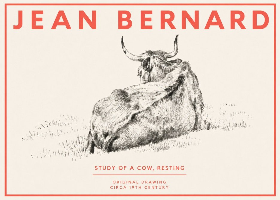 Jean Bernard Resting Bovine - Study in Graphite No4 - Juliste