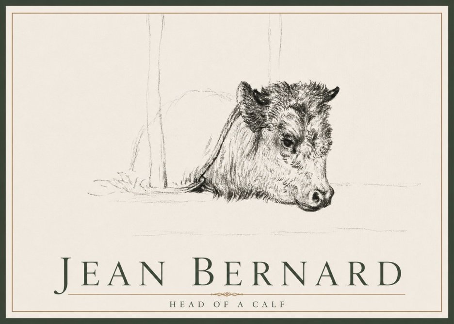 Jean Bernard Study of a Calf I No4 - Juliste