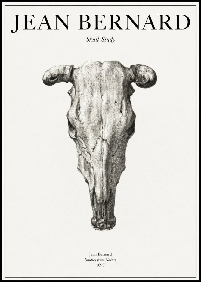 Jean Bernard Skull Study No1 - Juliste