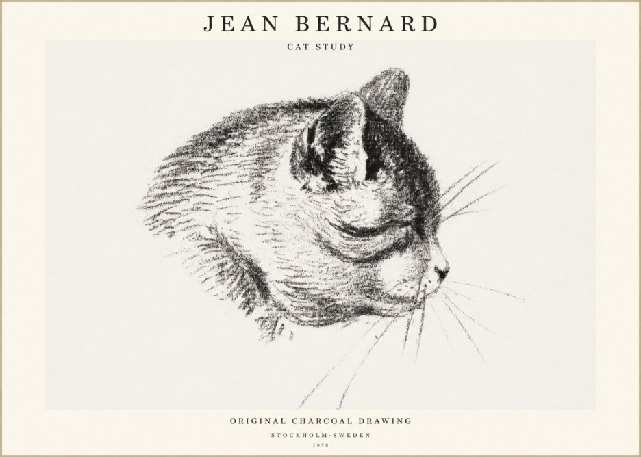 Jean Bernard Cat Study IV No1 - Juliste