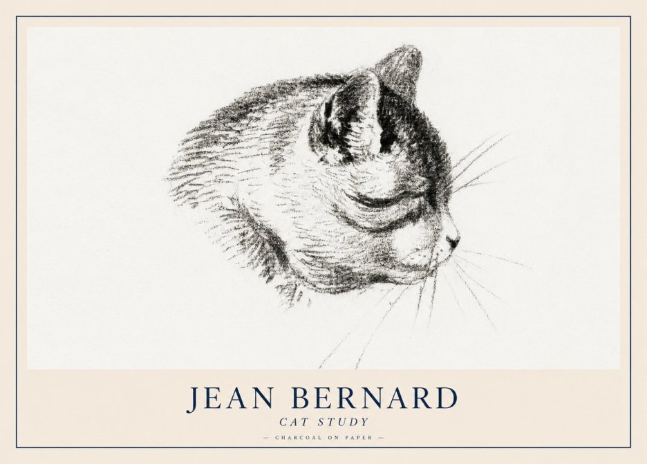 Jean Bernard Cat Study IV No2 - Juliste