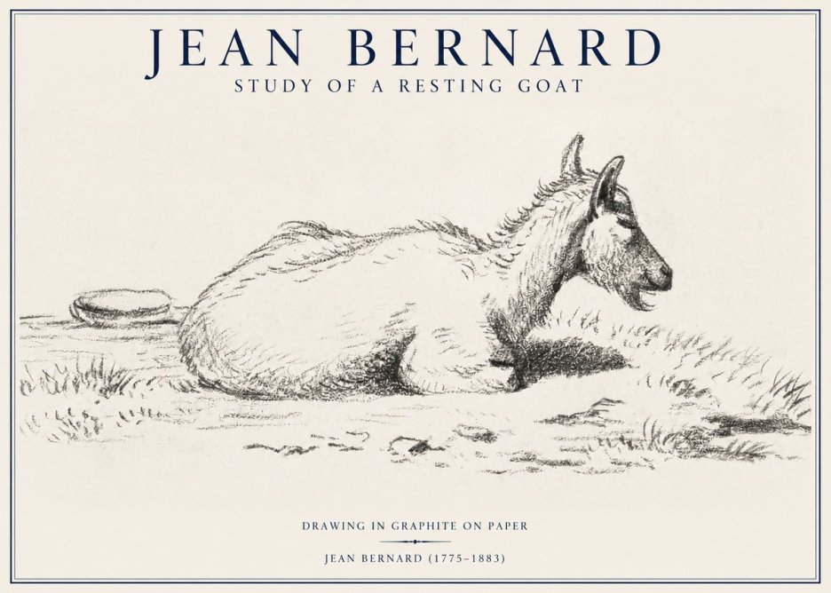 Jean Bernard Study of a Resting Goat No1 - Juliste