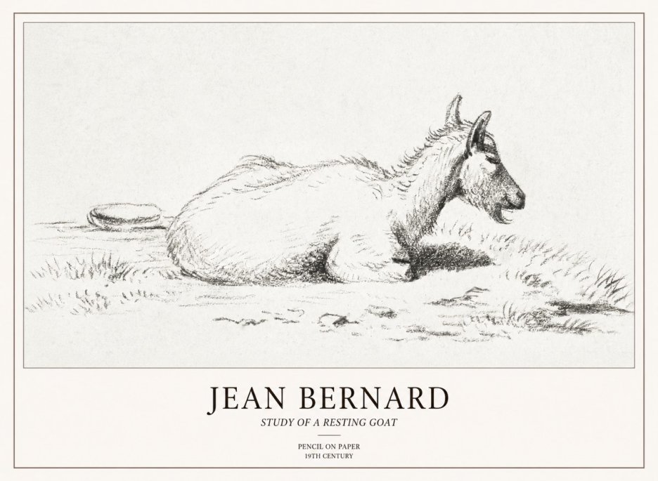 Jean Bernard Study of a Resting Goat No2 - Juliste