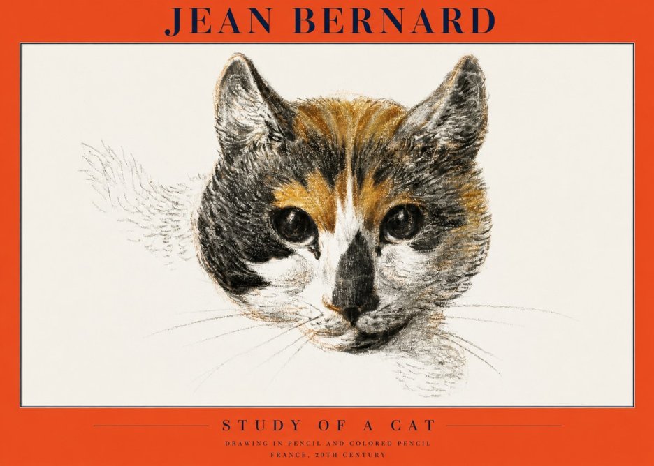 Jean Bernard Study of a Cat II No2 - Juliste