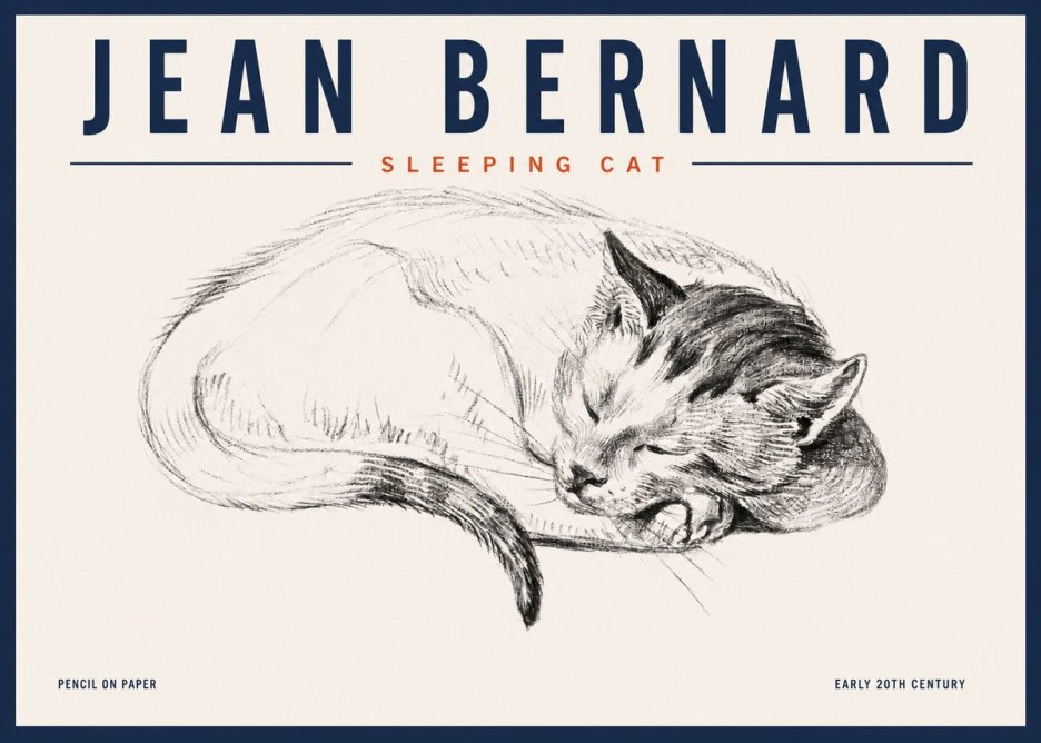 Jean Bernard Sleeping Cat IV No4 - Juliste